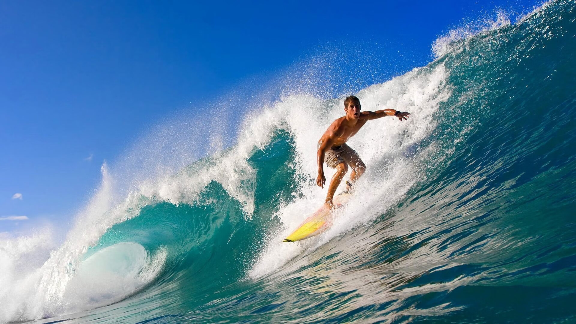 保加利亚遭遇挪威绝平，晋级前景渺茫，保加利亚这个国家怎么样