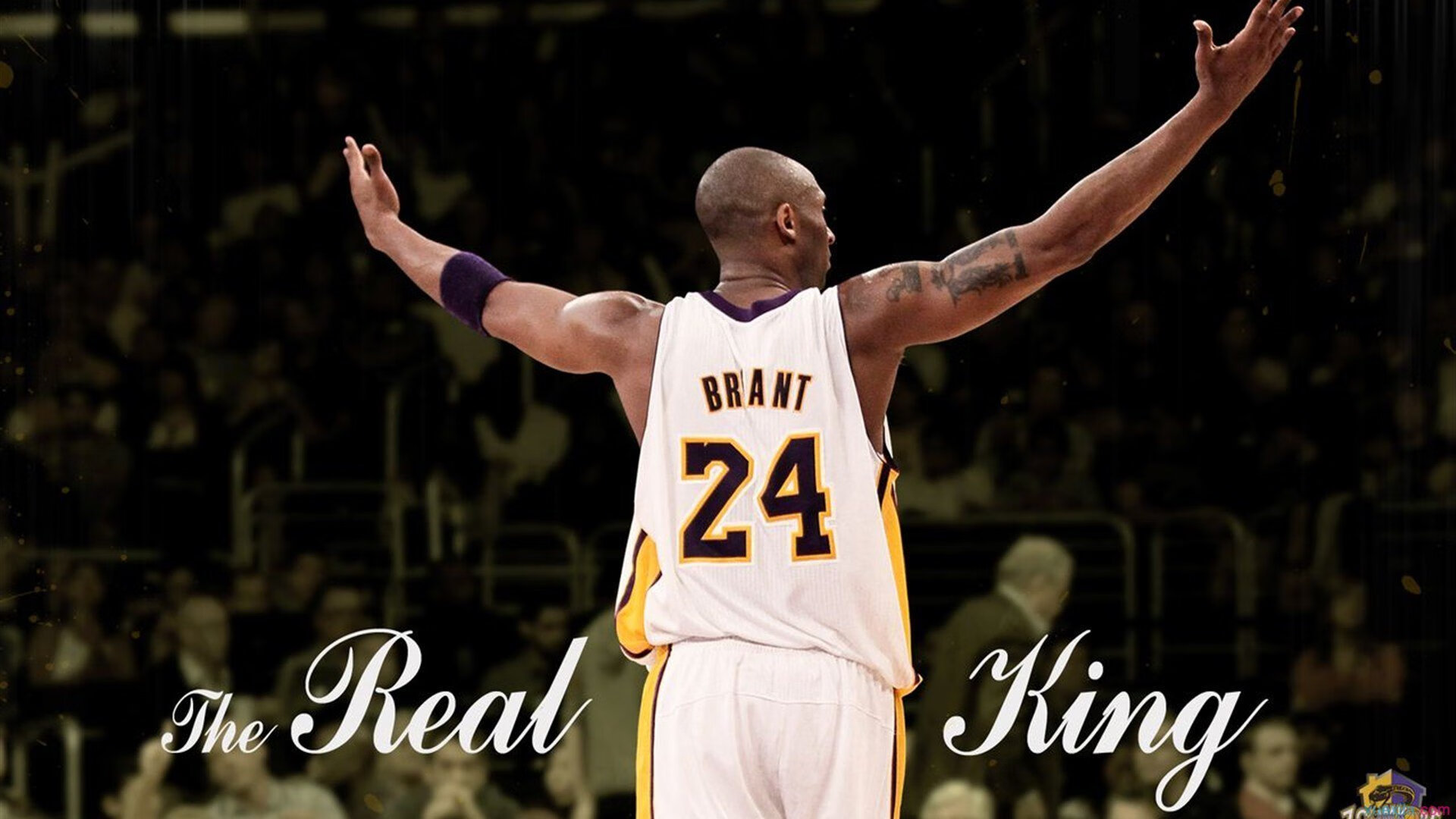 公牛队年轻球员挑战自我极限,公牛队选秀